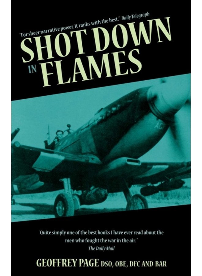 Shot Down in Flames - Paperback