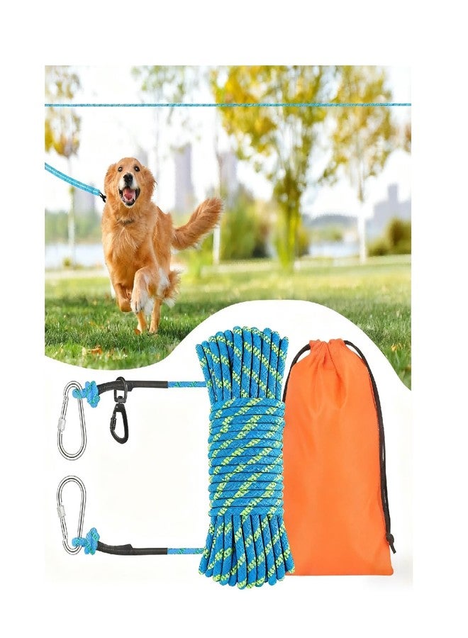 Kynara 100ft Dog Leash, Long Leash for Dogs Outside, Dog Tie Out Cable, Lead for Camping, Tether for Yard, Line (Blue) - Image 1