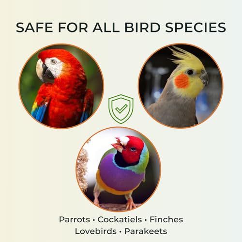 BioPetix Bird Bath Spray for Parrots & All Birds – Helps Soothe Dry, Itchy Skin & Support Healthy Feathers – Herbal Eucalyptus & Thyme Formula, No Essential Oils – 8 Fl Oz Bird Mist - Image 3