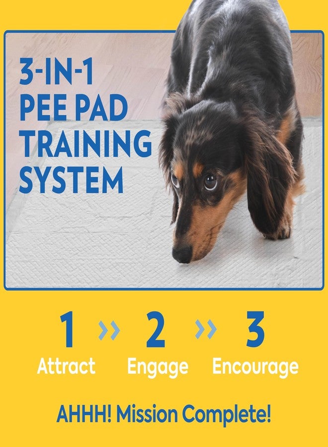 OUT! Petcare Puppy Pads XXL, Heavy Duty, Leak Proof Pee Pads for Dogs, Potty Training & Housebreaking, Puppy Essentials (26"x30", 30 Count) - Image 5