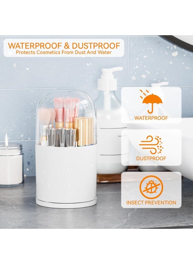 عام صندوق تخزين حامل فرش المكياج مع غطاء شفاف، حامل عرض مستحضرات التجميل يدور 360 درجة خالي من الغبار لأسطح الحمام وطاولات الزينة وأجهزة الكمبيوتر المكتبية - Image 5