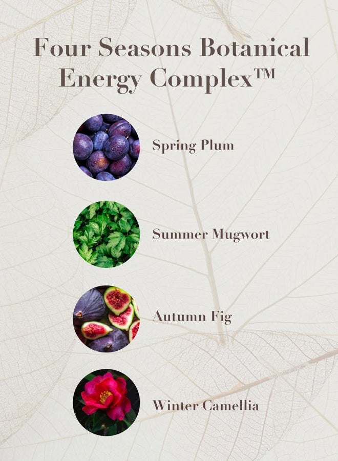 POPMISOLER Spring Event Sooryehan THE SAGA OF SOO BOTANICAL ENERGY (360 ml / 12.17 Fl Oz) - Korean Skincare Gift Set by LG BEAUTY. Botanical Energy Boosting Toner, Balancing Moisturizer, Cream, Foam Cleanser.  - Image 3