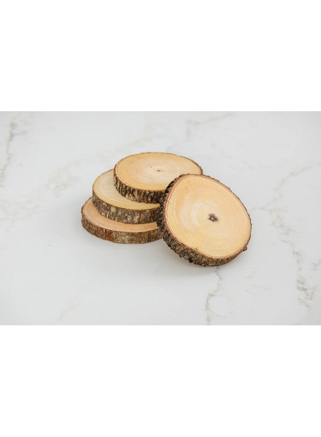 Lipper International Acacia Tree Bark Coasters Set Of 4 - Image 3