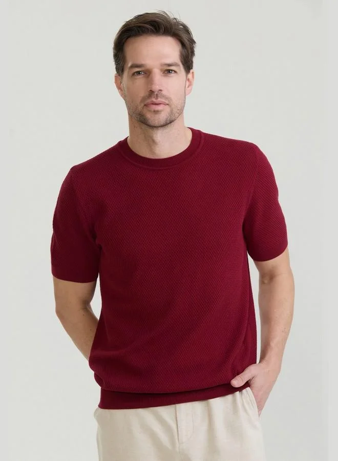 فيليكس هاردي Men's 100% Cotton Crew Neck Jersey T Shirt