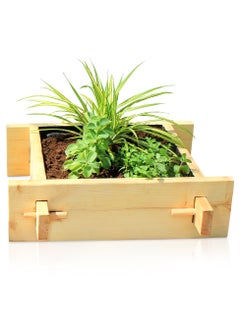 Generic Green Corner Raised gardenbed, 2 Feet by 2 Feet x 23 Cm. Whitewood planter box for home gardening, starter kit to grow flowers, herbs, vegetables, root veggies  - Image 1