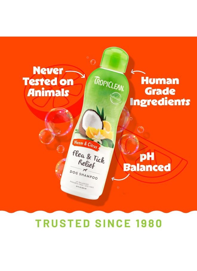 TropiClean Citrus Flea & Tick Shampoo for Dogs, Soothing Bite Relief, Fresh Citrus Scent, Made in the USA, 20oz.  - Image 4