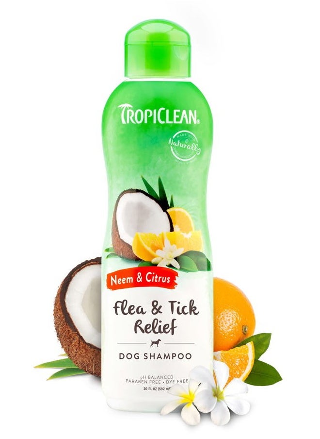 TropiClean Citrus Flea & Tick Shampoo for Dogs, Soothing Bite Relief, Fresh Citrus Scent, Made in the USA, 20oz.  - Image 1