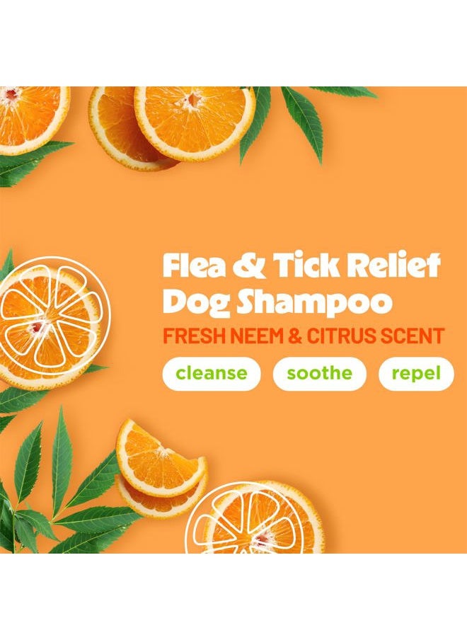 TropiClean Citrus Flea & Tick Shampoo for Dogs, Soothing Bite Relief, Fresh Citrus Scent, Made in the USA, 20oz.  - Image 2
