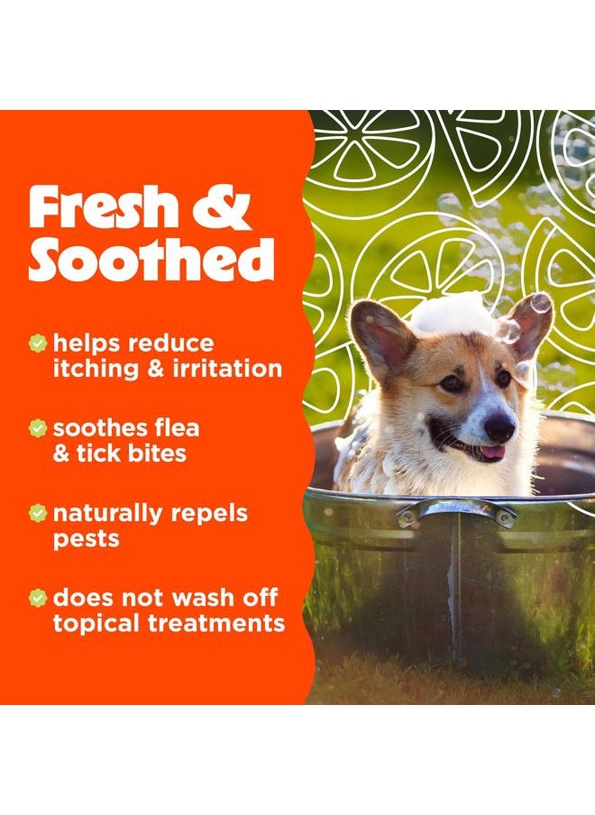 TropiClean Citrus Flea & Tick Shampoo for Dogs, Soothing Bite Relief, Fresh Citrus Scent, Made in the USA, 20oz.  - Image 3