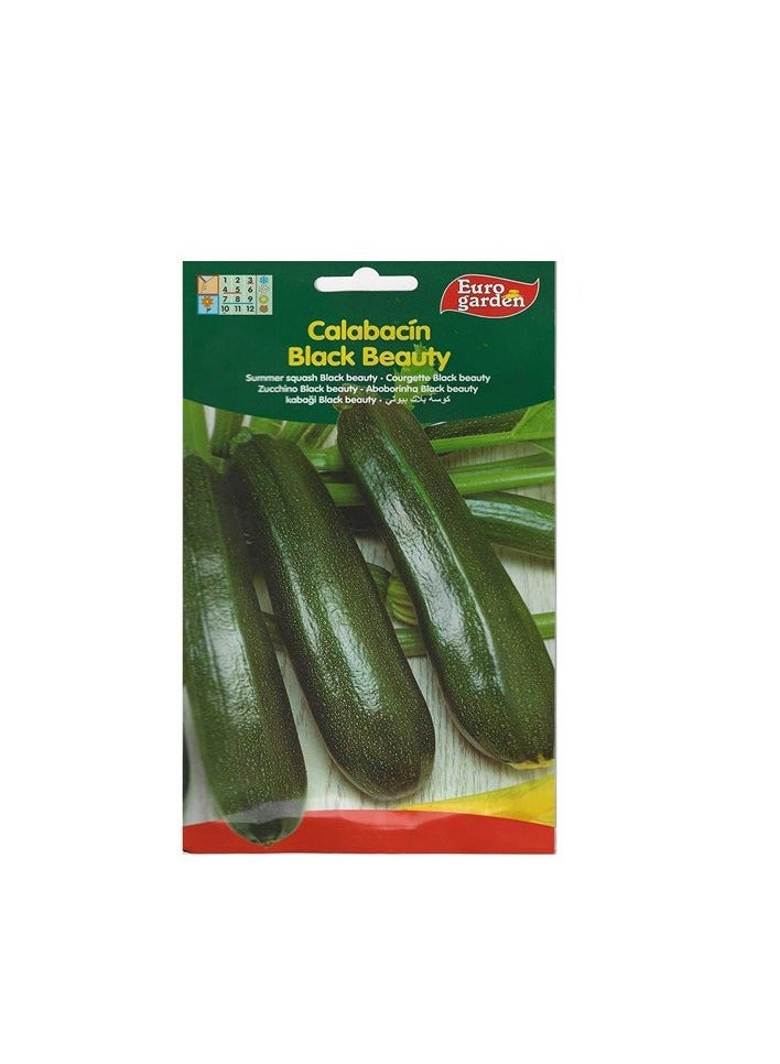 KNP Calabacin Black Beauty Summer Squash Premium Quality Seeds