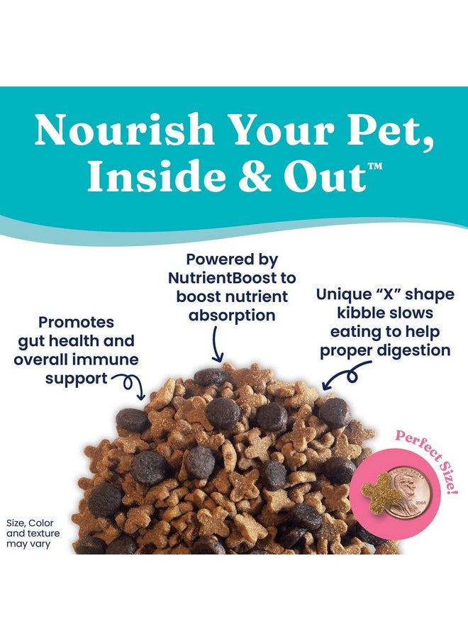 solid gold - Solid Gold NutrientBoost Katz N Flocken - Dry Cat Food with Lamb, Rice & Pearled Barley - Digestive Probiotics for Cats - Gut Health & Immune Support - Grain Free - Superfoods & Antioxidants - 4 LB - Image 1