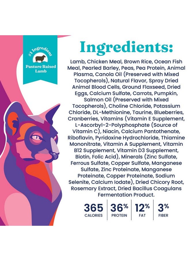 solid gold - Solid Gold NutrientBoost Katz N Flocken - Dry Cat Food with Lamb, Rice & Pearled Barley - Digestive Probiotics for Cats - Gut Health & Immune Support - Grain Free - Superfoods & Antioxidants - 4 LB - Image 1
