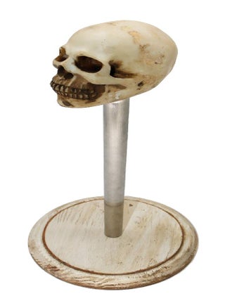 Rustic White Wood Skull Stand Up Paper Towel Holder, Easy One-Handed Tear Kitchen Paper Towel Dispenser with Weighted Base for Standard Paper Towel Rolls,Rustic White - pzsku/Z603C9BBFAEABF26A36B6Z/45/_/1693220681/b1910f64-205c-455f-bfbc-f878939e6d8c
