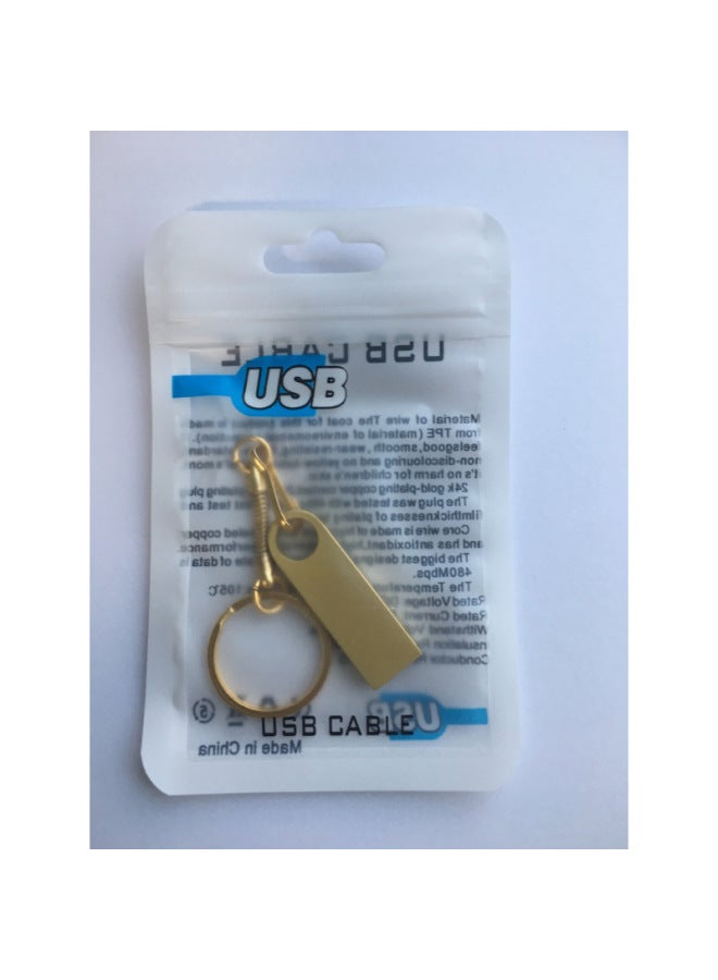 Direct Metal U Disk Waterproof 8g 16g 32g 64g Lettering LOGO Gift Disk-Color:Gold-Capacity:64GB  - Image 1