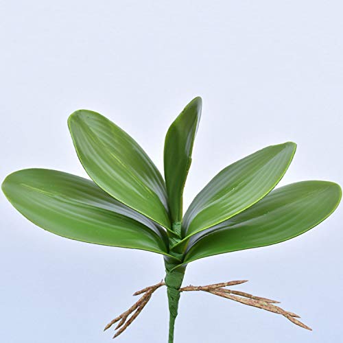 FagusHome 10 PCS Artificial Phalaenopsis Orchids Leaves 11 inches Green Faux Orchids Leaf (10 Pcs) - Image 4