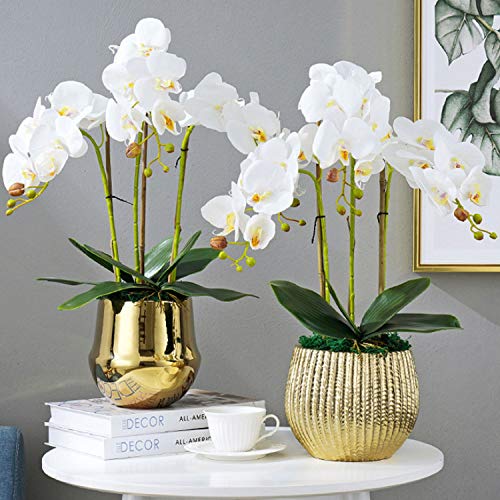 FagusHome 10 PCS Artificial Phalaenopsis Orchids Leaves 11 inches Green Faux Orchids Leaf (10 Pcs) - Image 5