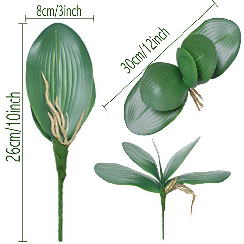FagusHome 10 PCS Artificial Phalaenopsis Orchids Leaves 11 inches Green Faux Orchids Leaf (10 Pcs) - Image 2