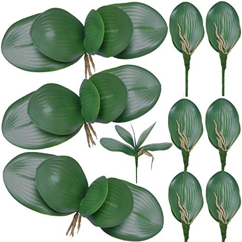 FagusHome 10 PCS Artificial Phalaenopsis Orchids Leaves 11 inches Green Faux Orchids Leaf (10 Pcs) - Image 1