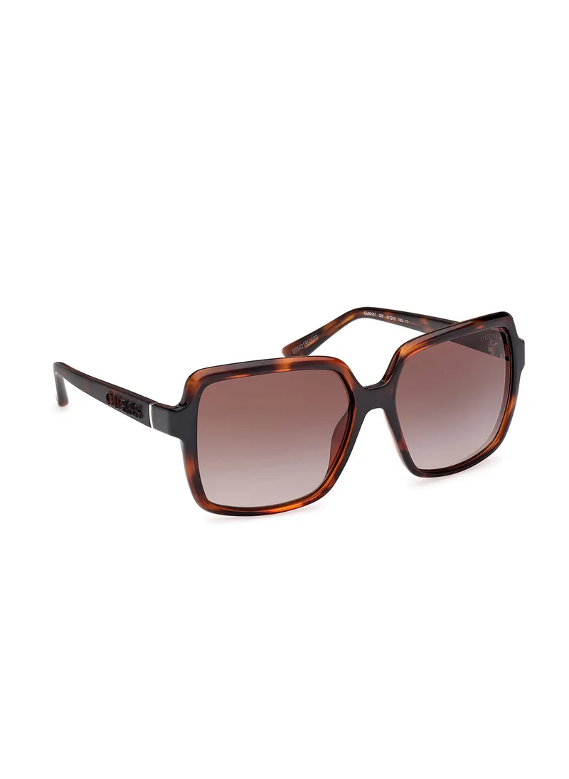 جس Injected Shaped Sunglasses