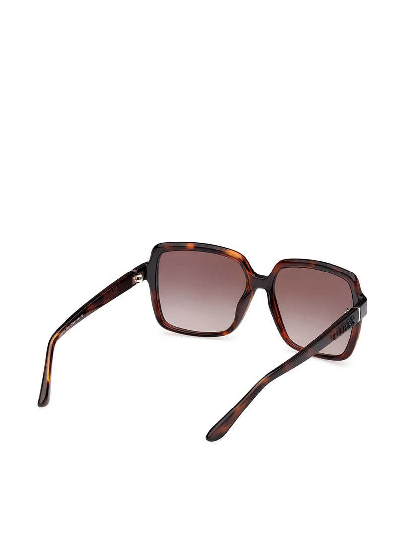 جس Injected Shaped Sunglasses