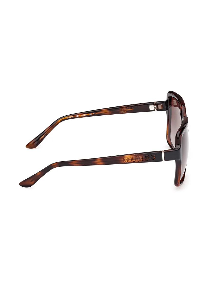 جس Injected Shaped Sunglasses