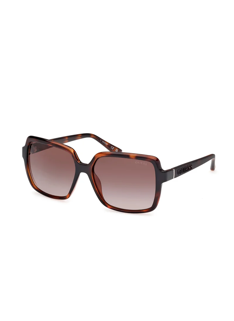 جس Injected Shaped Sunglasses