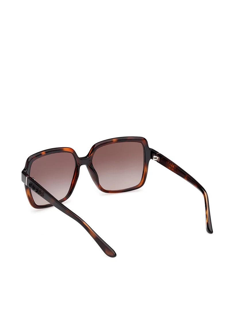 جس Injected Shaped Sunglasses
