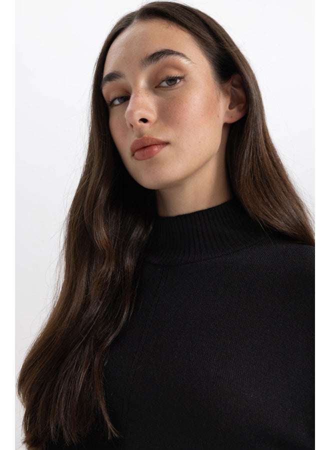 Woman Regular Fit Tricot Long Sleeve Trico Dress