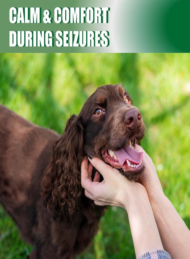 VetaSure Seizure Support Powder for Dogs & Cats – Natural Epilepsy Supplement, 100g | Helps Reduce Frequency & Intensity of Seizures | Calming, Tasty, Safe Formula - Image 4