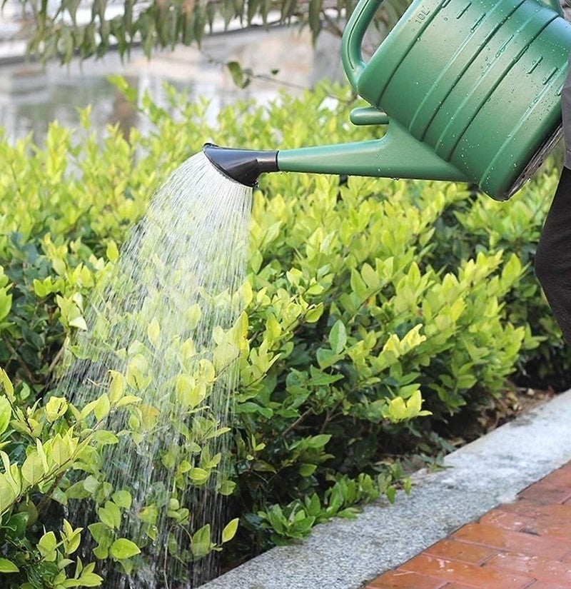 Scrolls 5L Plastic Watering Can for Gardening, Essential Lightweight Watering Can with Long Spout, 3- in-1 Detachable Sprinkler Rose Head for Indoor and Outdoor Garden - Image 1