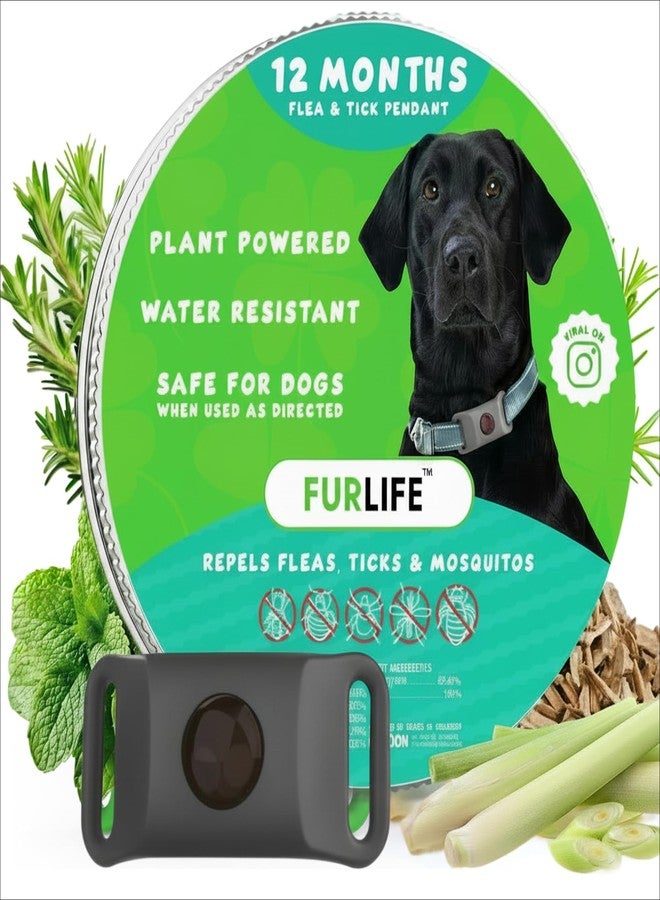 قلادة FurLife الخضراء للحيوانات الأليفة - قلادة مهدئة ووقائية من البراغيث والقراد للكلاب والقطط | قلادة مقاومة للماء | آمنة لجميع السلالات - Image 1