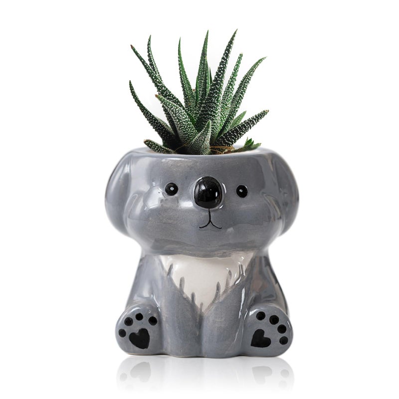 DIYOMR Cute Animals Planter, Mini Ceramic Cartoon Animal Shaped Succulent Flower Pot Indoor Air Plants Holder, Smooth Shiny Decorative Flower Cactus Planter - Plants Not Included (Koala) - Image 1