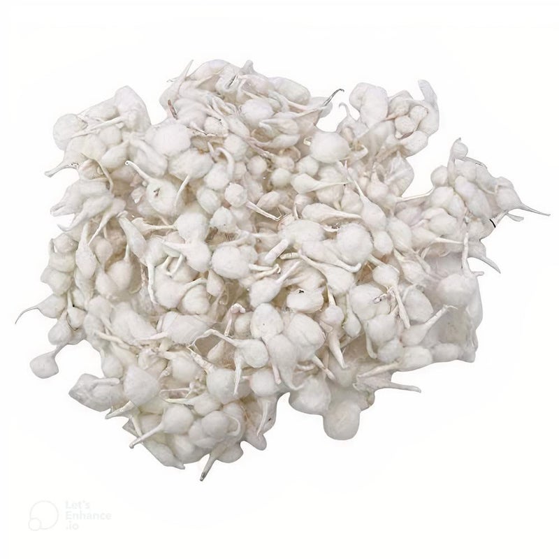 SR TRENDS SR TRENDS 350PCS Hand Made Phool BaatiWhite Cotton Phool Diya Batti Wicks Diya Batti for Puja Wicks Jot batti for Poojajyot batti Packs 350 Pcs  - Image 5