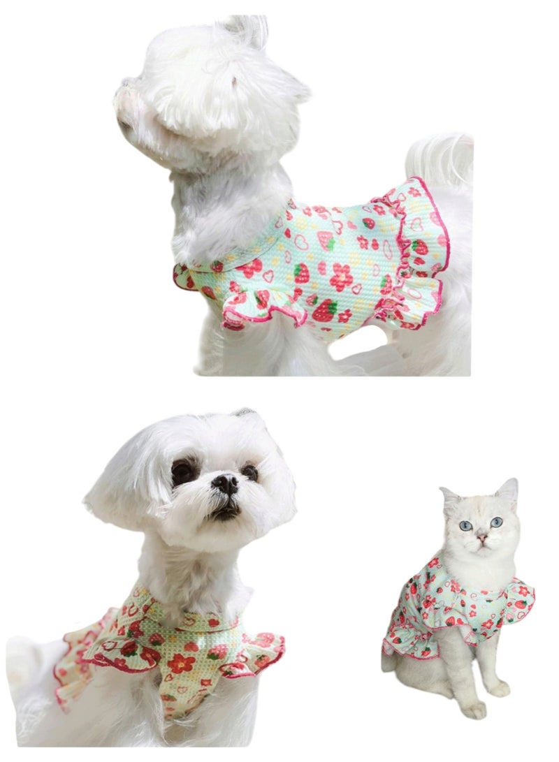 ايه ام ملابس كلاب بيشون فريز ربيع وصيف جديدة بأكمام طائرة على شكل فراولة ووافل وتنورة قطط أليفة ملابس خارجية للحماية من الشمس - Image 1