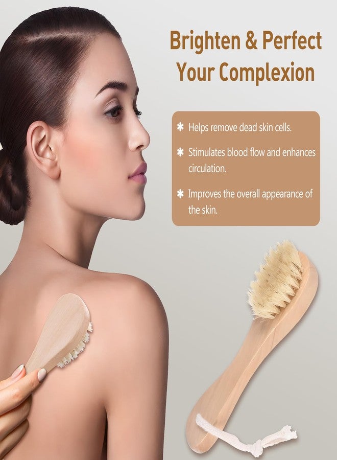 Kootinn 2 Pack Miniature Dry Brush with Hanging Loop - Natural Bristle Small Body Brush for Exfoliating, Facial Cleansing - Soft Skin for Neck, Chest, Nails, and Other Sensitive Areas - Image 4
