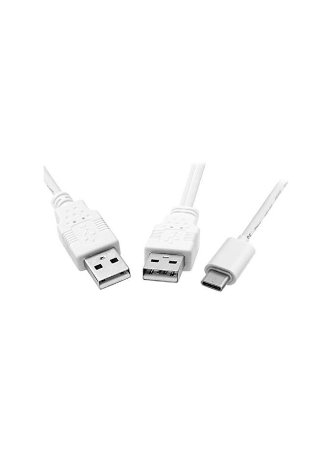 erorex USB 3.1 Type C USB-C to Dual A Male Extra Power Data Y Cable for Cell Phone & Hard Disk  - Image 2