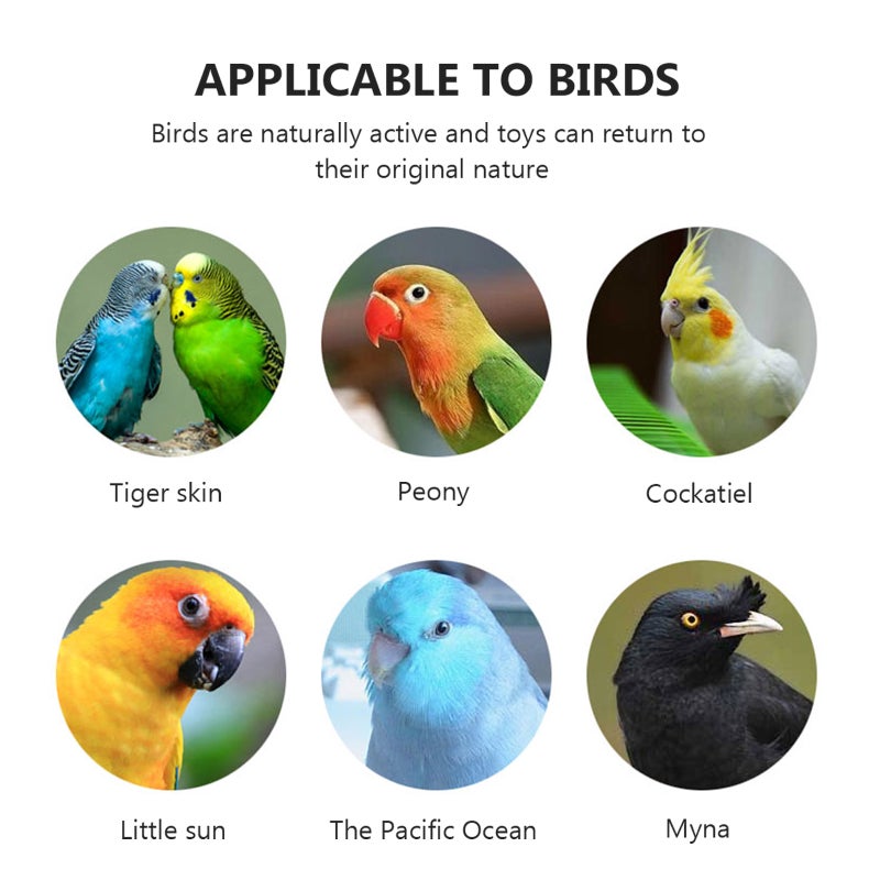 1Pcs Funny T Shaped Bird Parrot Bridge Standing Rack Parrot Activity Climbing Toy Food Bowl Rack(Size Small) - Image 4
