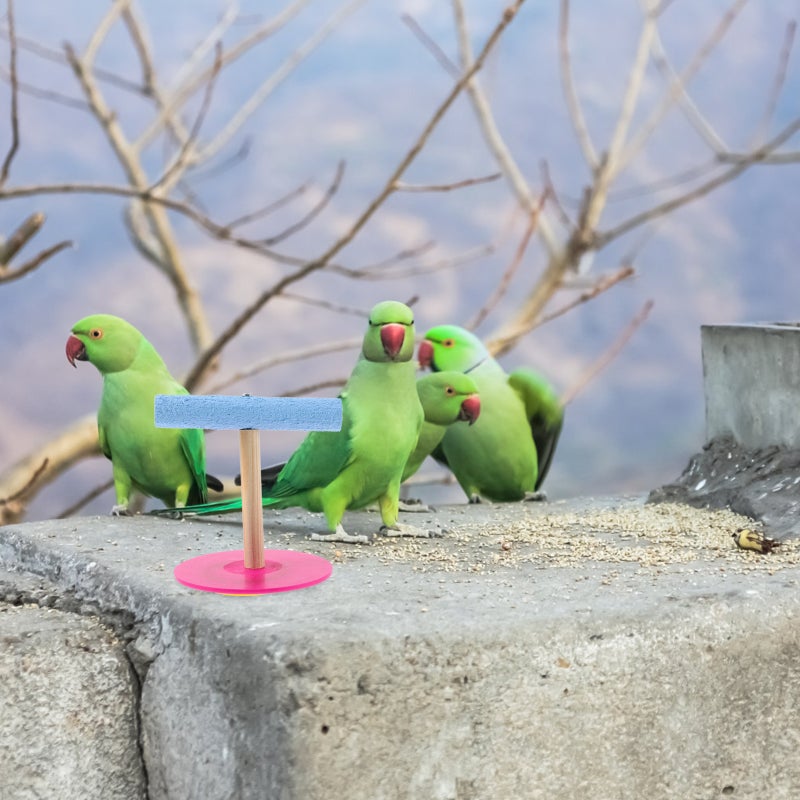 1Pcs Funny T Shaped Bird Parrot Bridge Standing Rack Parrot Activity Climbing Toy Food Bowl Rack(Size Small) - Image 5