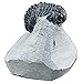 KALIFANO Authentic Natural Arthropod Trilobite Fossil in Matrix  Marine TrilobitaCalymene for Fossil Collections and Education Purposes Information Card Included - Image 4