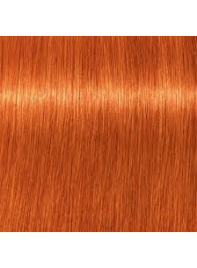 شوارزكوف صبغة الشعر شوارزكوف إيجورا رويال الدائمة 8-77 - Image 3