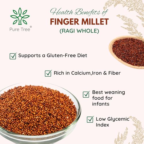 Pure Tree Certified Organic Ragi Whole | 850 g | Red Finger Millet | Nachni | Nagli | Bavto | Gluten-Free - Image 3