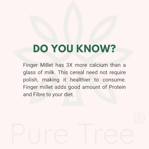 Pure Tree Certified Organic Ragi Whole | 850 g | Red Finger Millet | Nachni | Nagli | Bavto | Gluten-Free - Image 5