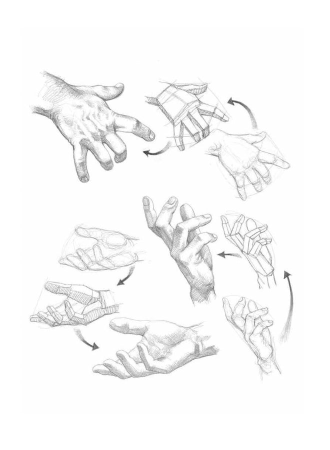 Drawing: A Complete Guide  - Image 4