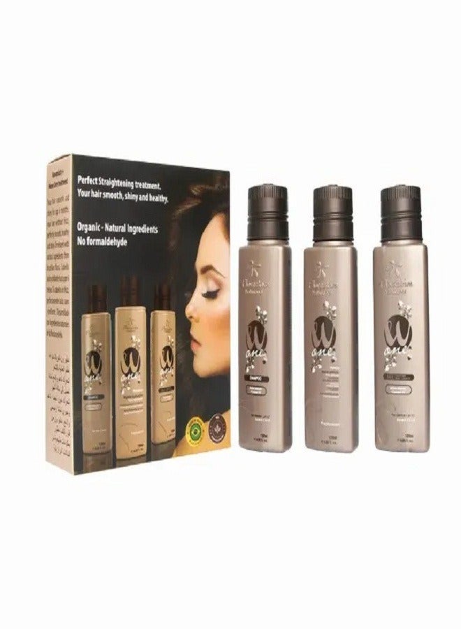 W1Protein Set to Repair Damaged Hair 120 ml