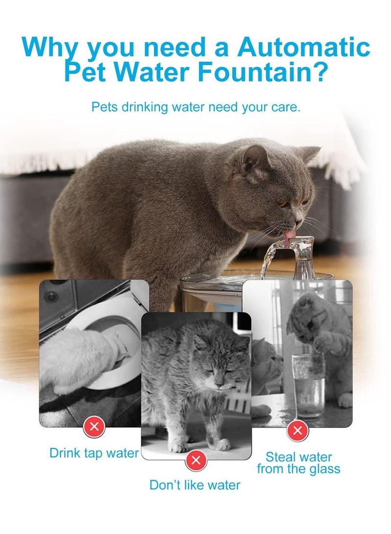 سيوسي موزع مياه للقطط 68 أونصة / 2 لتر 304 موزع مياه للحيوانات الأليفة من الفولاذ المقاوم للصدأ موزع مياه كهربائي هادئ للحيوانات الأليفة مع 3 فلاتر مناسبة للقطط والجراء ومجموعة متنوعة من مياه شرب الحيوانات - Image 5