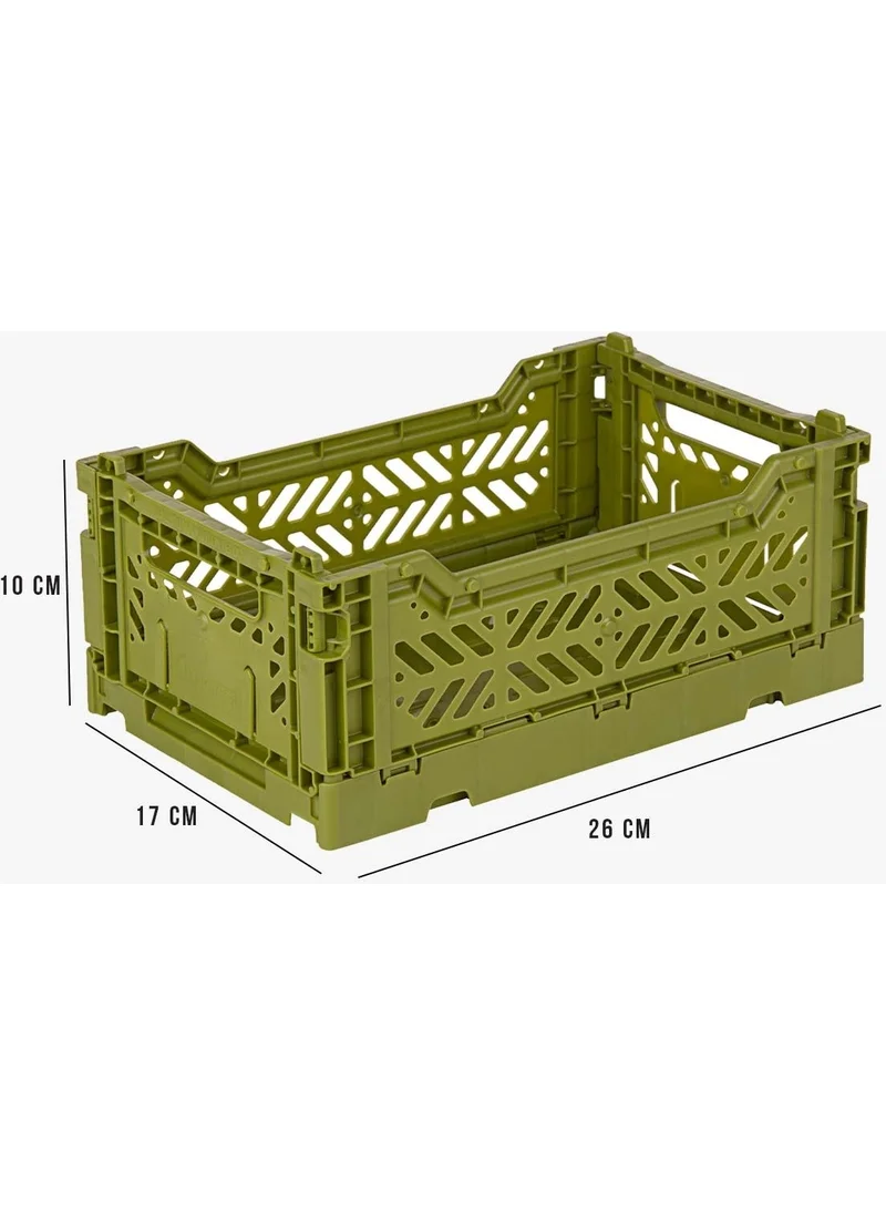 Ayyıldız Aykasa 261710 Minibox Olive Foldable Case