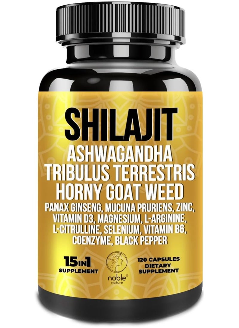 noble nature - Shilajit 15 in 1-120 Veg Capsules - 2 Months Supply - Image 1
