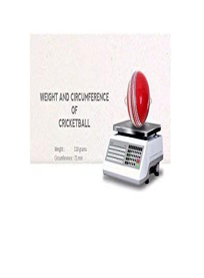 Grès GRS T-20 PVC Cricket Soft Balls Recommended for Indoor/Outdoor Street, Beach & Cricket (Pack of 6)(Orange) Tournament Ball - Image 4