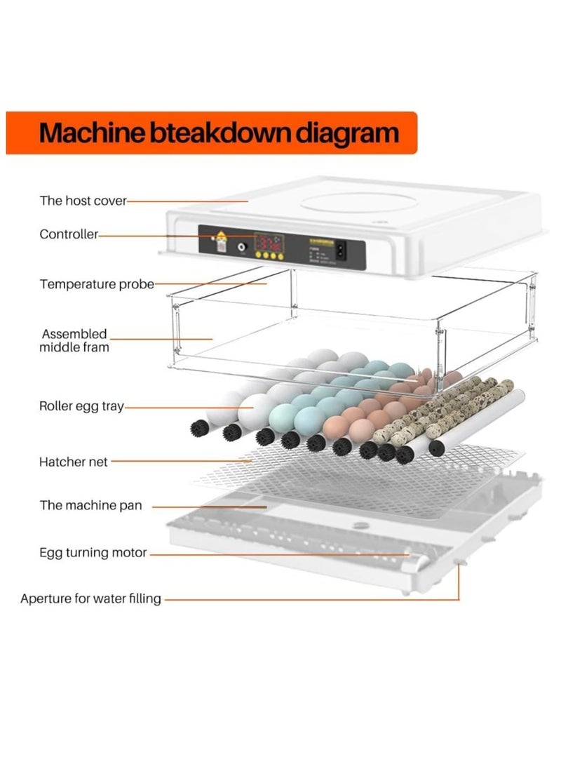 Egg Incubator,Small Household Digital Automatic Incubators for Hatching Parrot/Birds/Chickens/Ducks/Quails and Goose,Built-in Led Candler (24 eggs)
