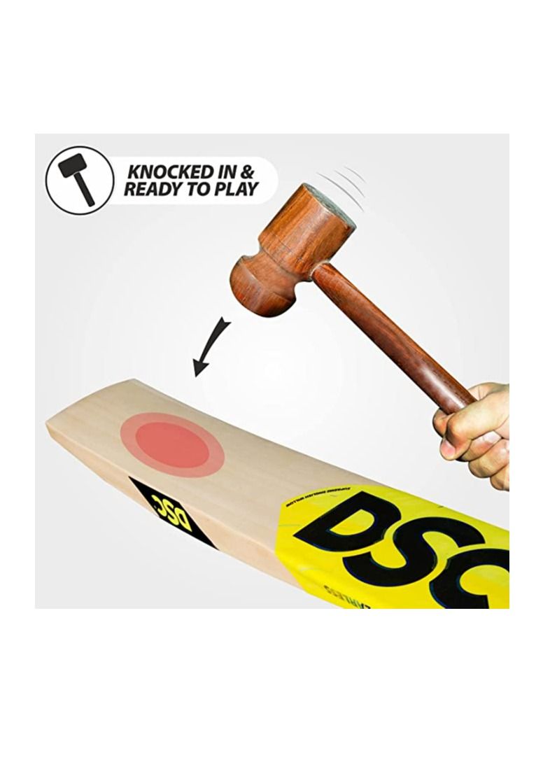 DSC Condor Pro Grade 1 English Willow | Cricket Bat Size : Short Handle | Balltype : Leather Ball |  Playing Style : All-Round - Image 3